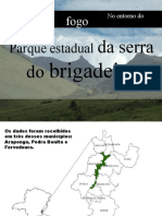 Artigo Incêncios No Parque Estadual Serra Do Brigadeiro