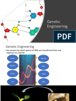 Cytogenetic Engineering