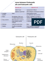 Eukaryotes and Prokaryotes Differences