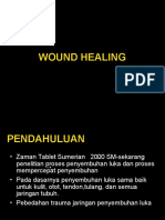 Wound Healing Tissue
