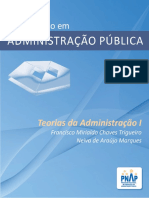 OK Teoria Administracao1