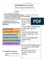 Review Geography 4th Period The Biogeochemical Cycles