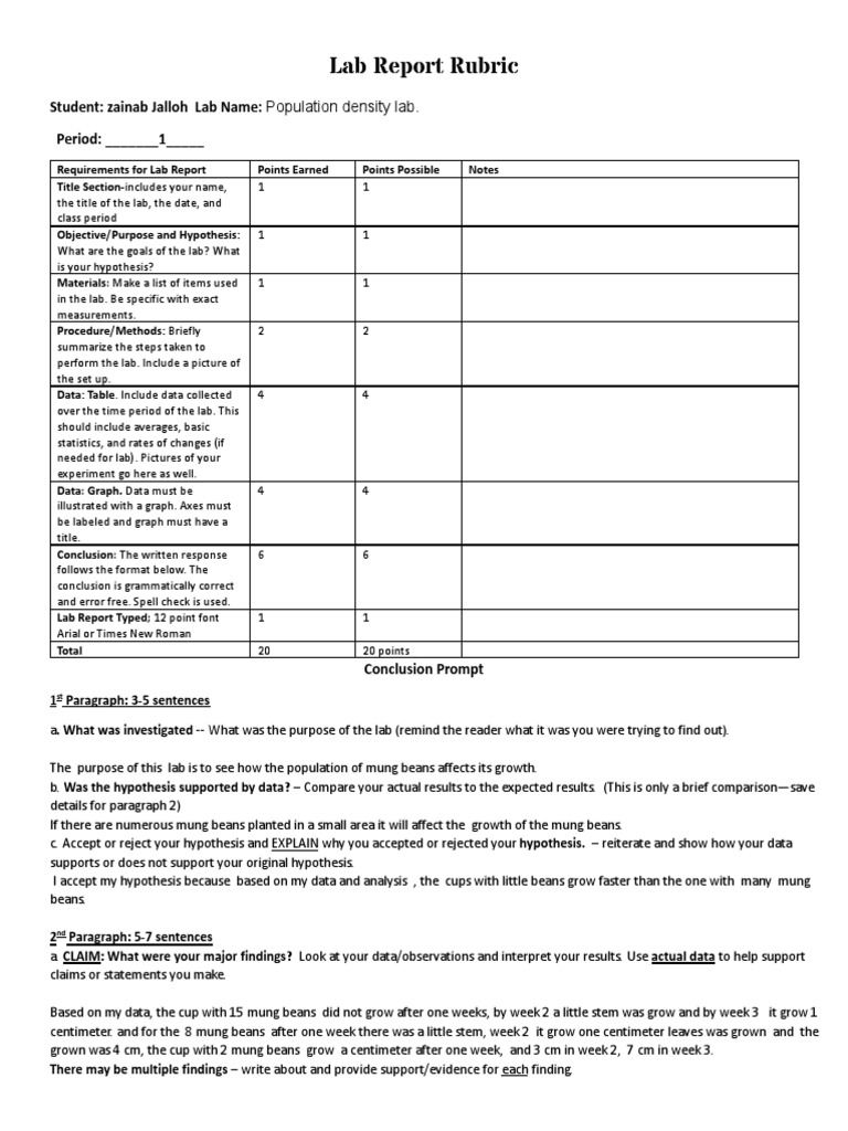 Lab Report Rubric PDF Evidence Hypothesis