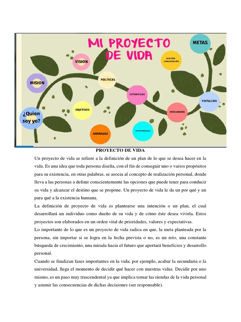 Mi Proyecto de Vida | PDF | Vida | Realidad