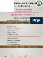 Organigrama y Perfil Profesional