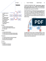 TP Spe Serie 2 3 Structurel Dynamique Galet