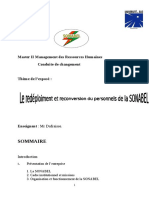 Sommaire: Master II Management Des Ressources Humaines Conduite de Changement