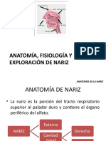 Anatomía, Fisiología y Exploración de Nariz