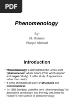 Phenomenology