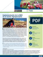 IICA 2022 - Implementacion NDC en Sector Agrario Peru