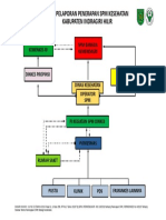 Alur Pelaporan Penerapan SPM Kesehatan Kabupaten Indragiri Hilir
