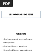 Les 5 organes de sens et leurs fonctions | PDF | Somesthésie | Goût
