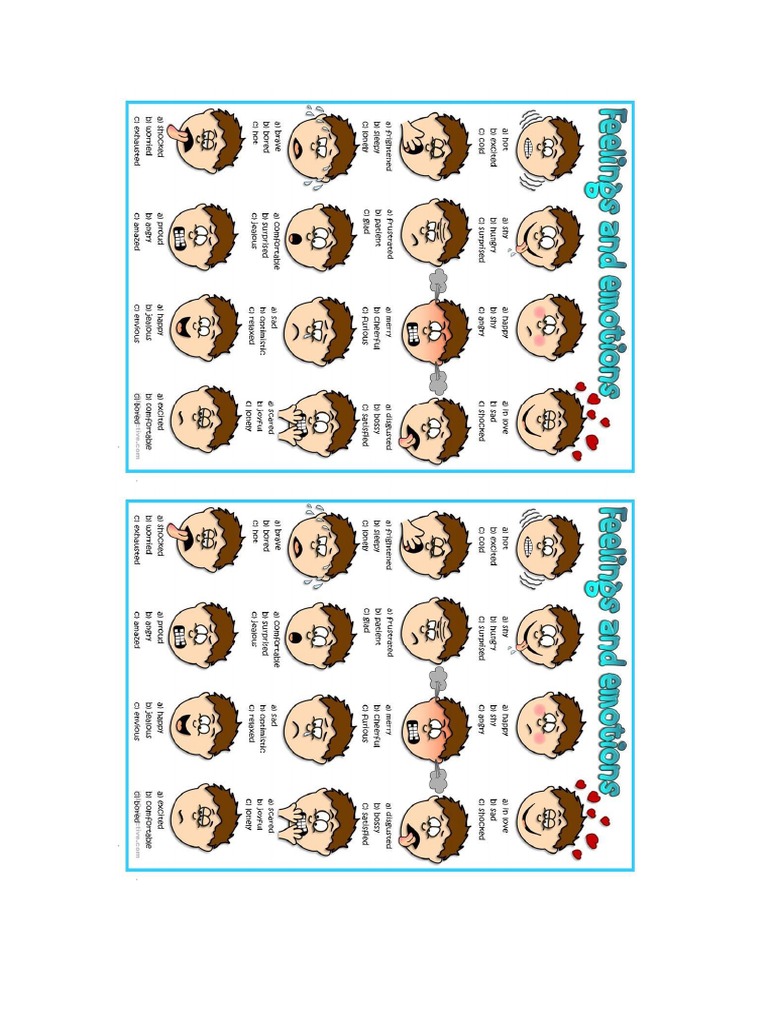 Feelings and Emotions | PDF