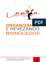 Organização e Rodizio de Brinquedos - Camila Alvarenga - Terapia Ocupacional