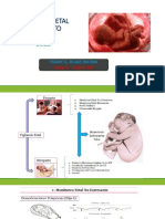 Vigilancia fetal intraparto - pH 7.22