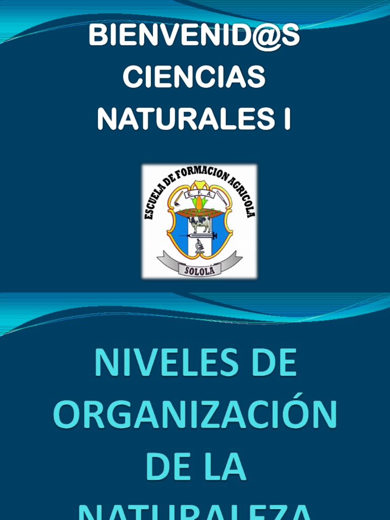 Ciencias Naturales I Niveles de Organización de Los Seres Vivos | PDF