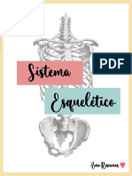 Sistema Esqueletico Natalia Porto 2