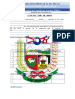Acta de Visita XX