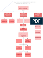 Desarrollo Filogenetico Del Sistema Nervioso