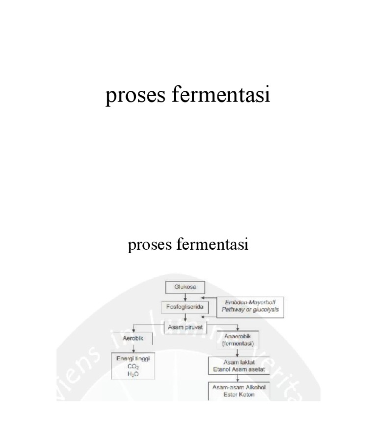 Proses Fermentasi | PDF