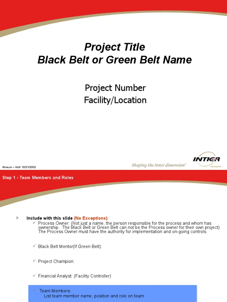 Atreum Project Guidelines and Steps | PDF | Statistics | Six Sigma