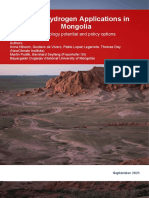 NewClimate Green Hydrogen Applications in Mongolia