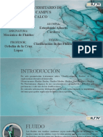 Clasificación de Fluidos: Ideales, Reales, Newtonianos y No Newtonianos