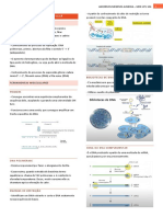 Resumo Genética 2 Unidade