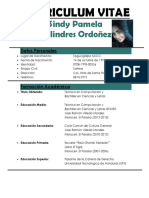 Curriculum Sindy Colindres