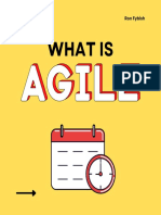 What Is Agile