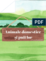 Animale Domestice Si Puii Lor