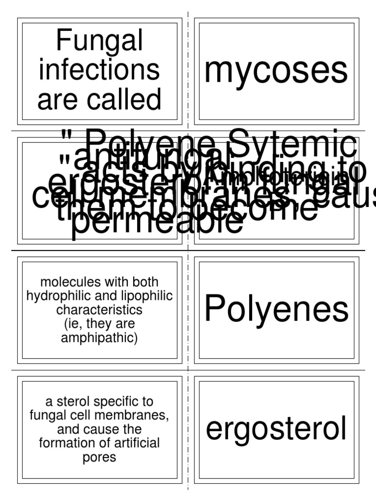 Amphotericin B A BroadSpectrum Polyene Antifungal Agent PDF