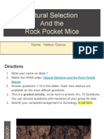 Natural Selection of Rock Pocket Mice