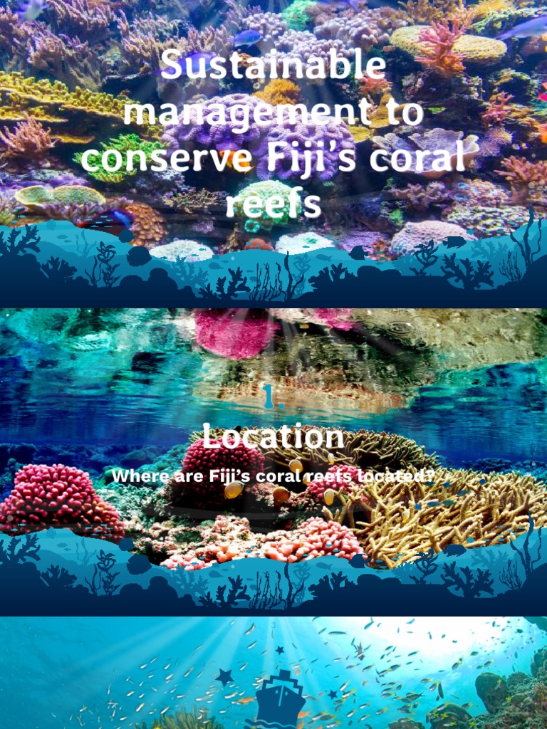 Coral Reefs - Class Notes | PDF