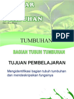 Bagian-Bagian Tumbuhan