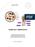 Sistema Oseo y Hematopoyetico