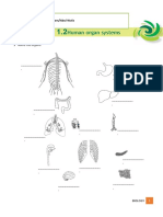 Worksheet 1.2 Human Organ Systems