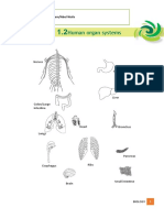 Organ Systems Worksheet