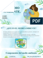 Ambiente - Power Point