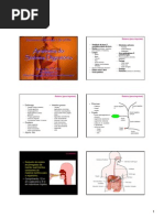 Anatomia do Sistema Digestório final2