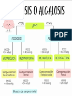 Acidocis y Alcalosis