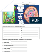 Quiz Animal and Plant Cell