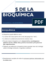 Bases de La Bioquímica