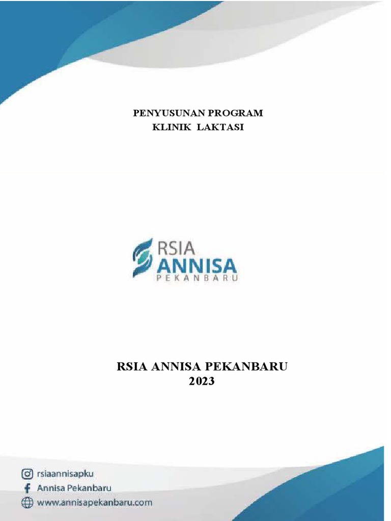 Program Klinik Laktasi RSIA Annisa | PDF