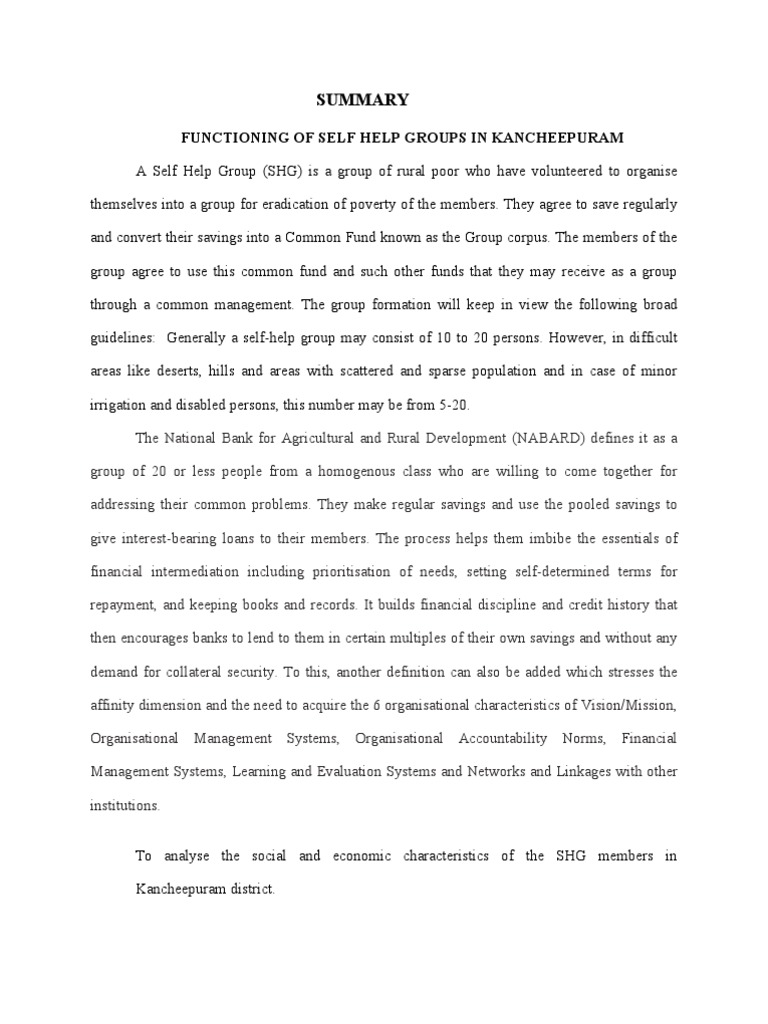 A Self Help Group PDF Economies Loans