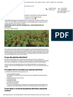 Controle de Plantas Daninhas - Como Reduzir Os Custos - Agrow - Software para o Agronegócio