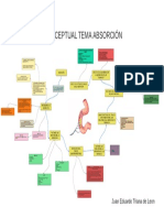 Mapa 1 Absorcion