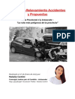 INFORME Accidentes Anisacate - Natalia Contini - 23.01.27