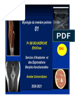 Myologie Du Membre Pelvien Partie 1