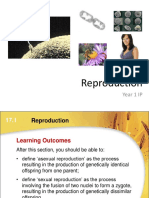 Reproduction Slides